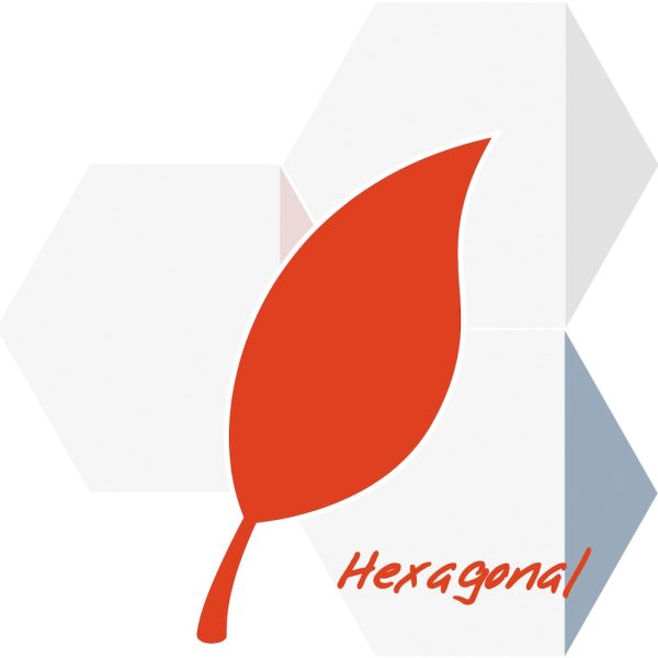HEXAGON